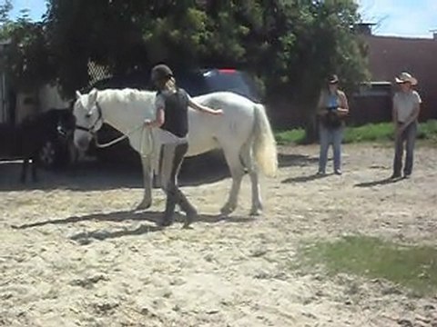Poney-club. Présentation en main, 1er enchainement. 26/06/2011.