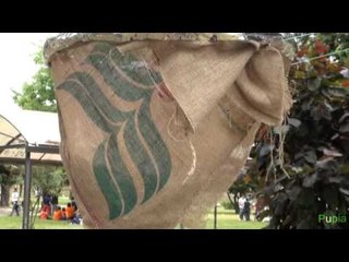 Aversa - Festa degli incontri dell'Azione Cattilica al Parco Pozzi