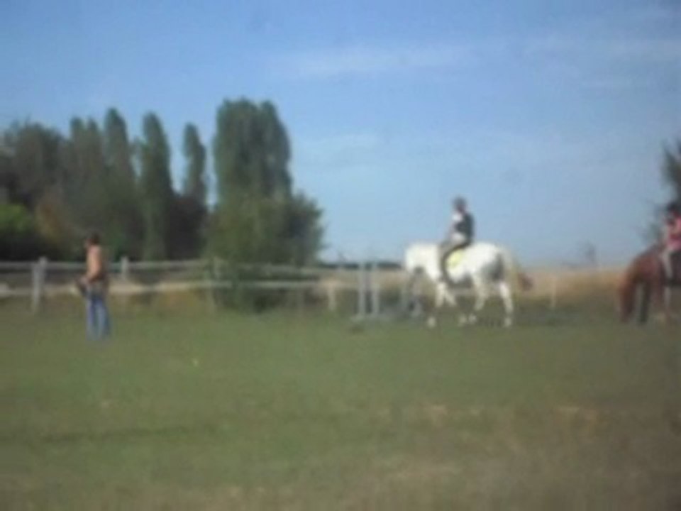 Poney-club, parcours varié en selle dans le calme. 26/06/2011. SDC10719