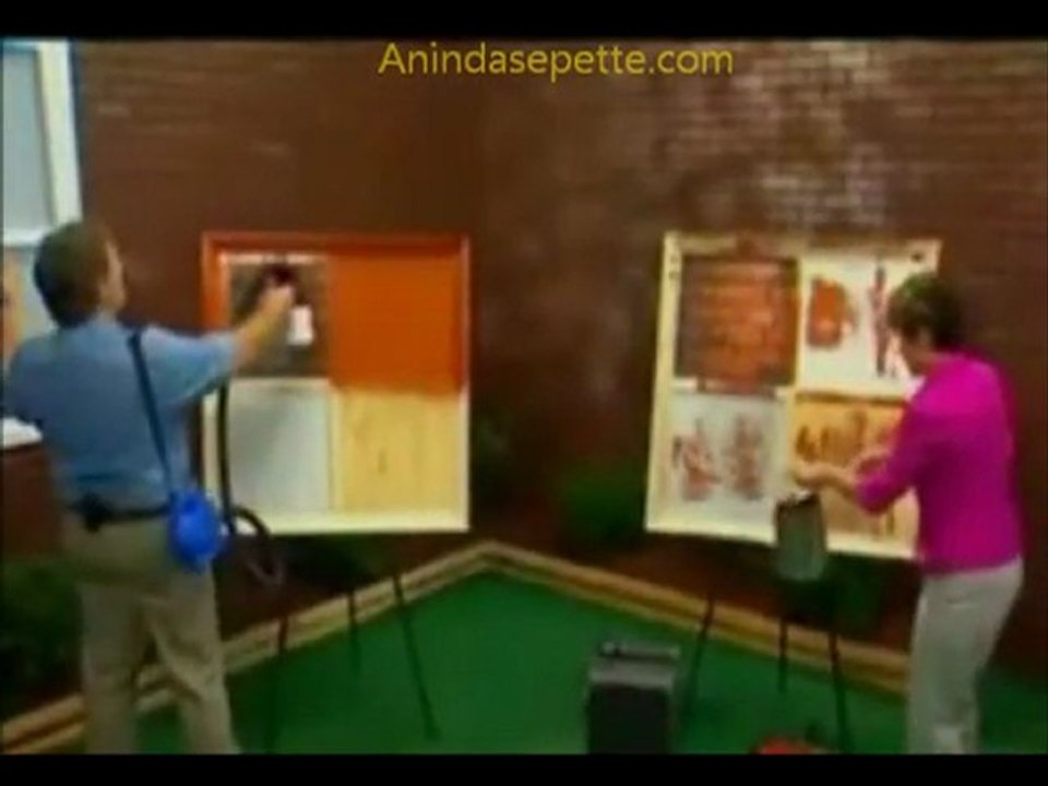Anindasepette-Paintzoom