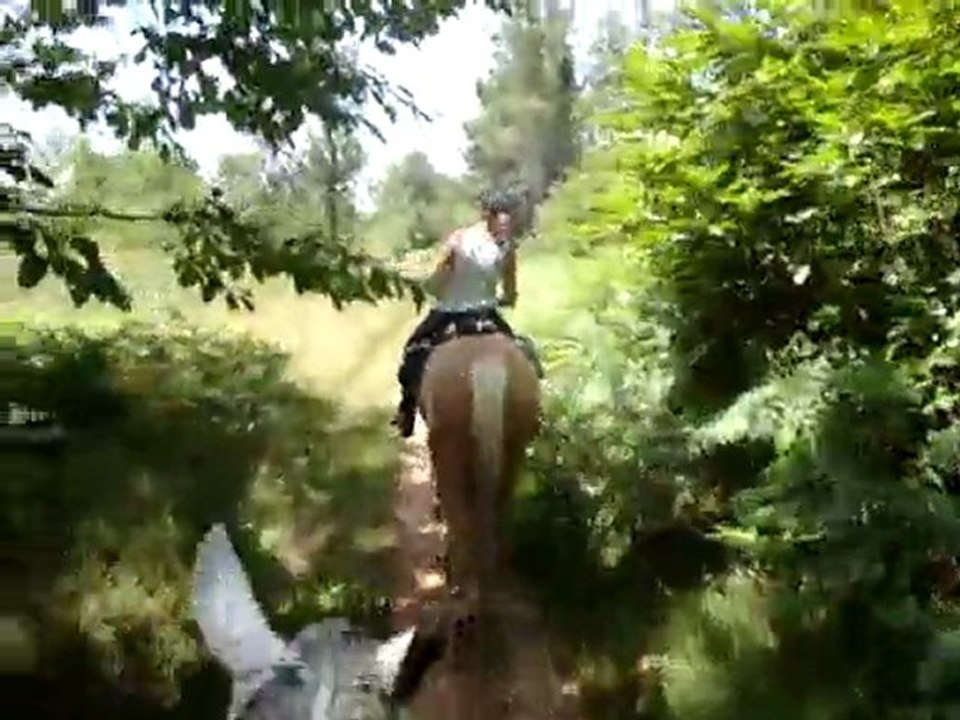 Rando Périgord juin 2011, tranquilou