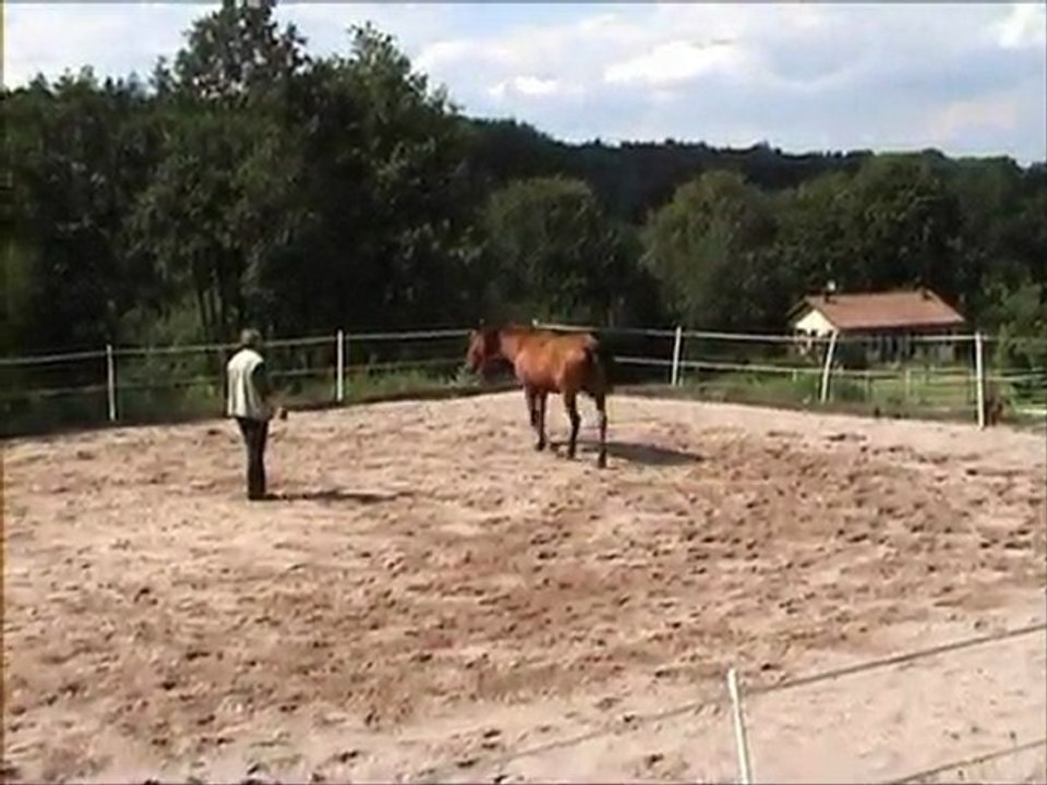 wmm longe lara 1 juil 2011