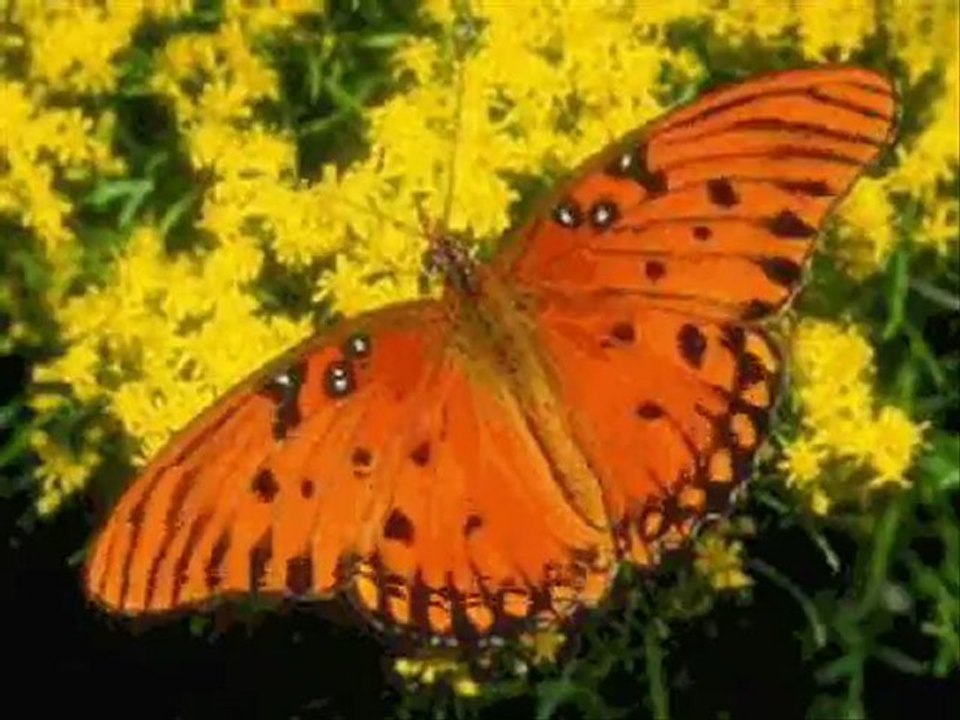 RELAKSUJACY DLA PRZYJACIÓL