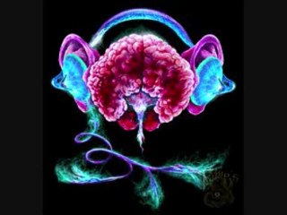 DJ SET SELEKTOR . TAKEN