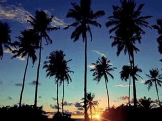 Palm Beach  -   Isole Maldive