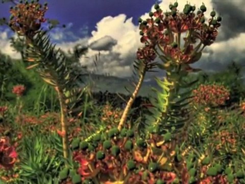 10 Earth's Most Spectacular Places - Mount Etna - Sicily - italy