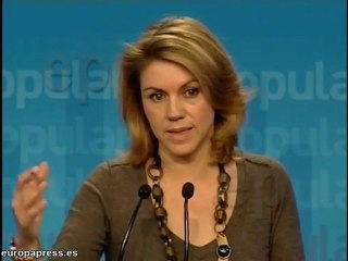 PP ha pedido al Gobierno que impugne Bildu