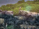 Die Galápagos-Inseln Archipiélago de Colón - UNESCO-Weltkulturerbe