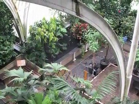 El Jardín Botánico Real de Kew - Londres Englaterras - Patrimonio de la Humanidad por la UNESCO