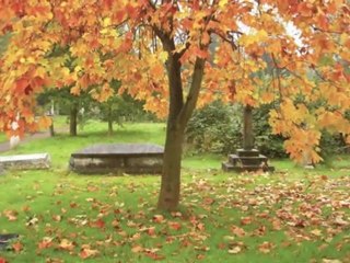 Norwich -  Inghilterra