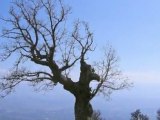 Monte Pollino - Basilicata - Italia