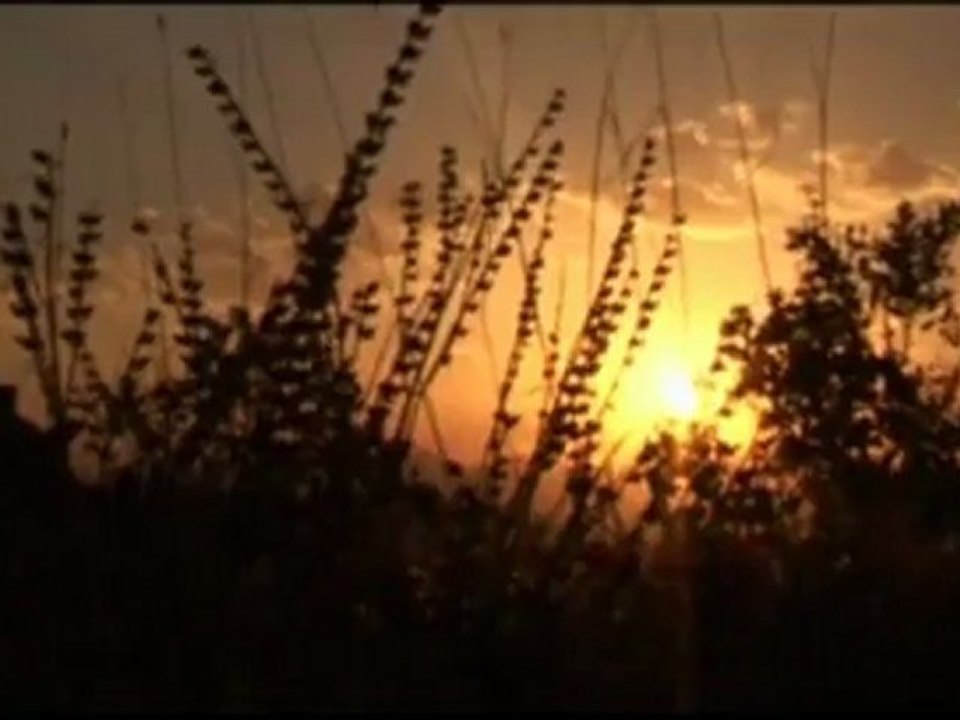 DIL DIXWAZE HERE CENGÊ sesliherdem sesliherdem.com sesli herdem sesliherdem.net