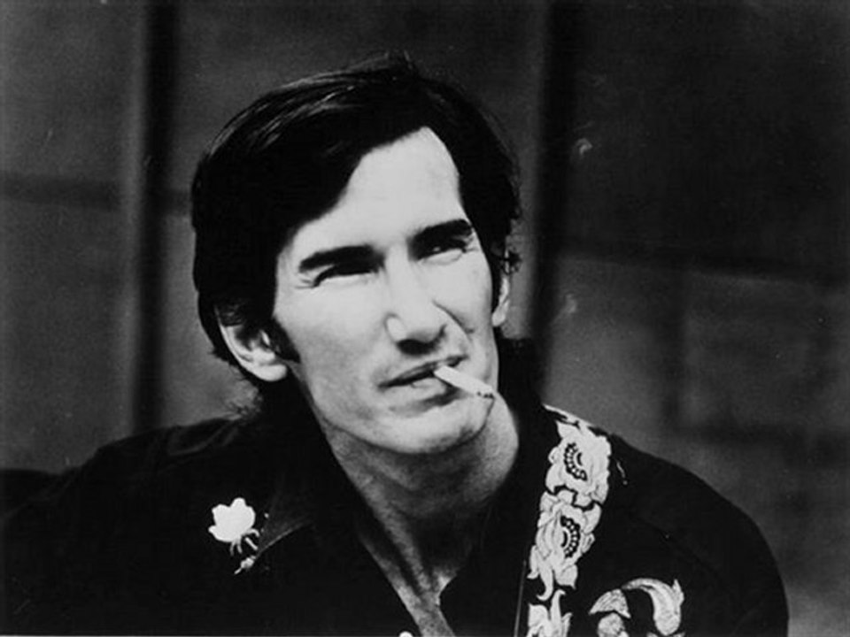Townes Van Zandt - The Hole