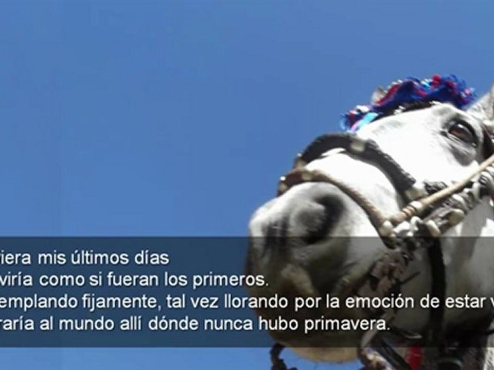 El Mejor Poema de Motivación