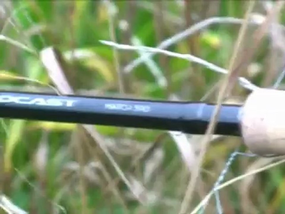 Steve Ringer explains rod actions