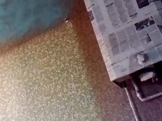 Projet Trait D'Union 018