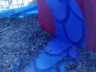 Projet Trait D'Union 022