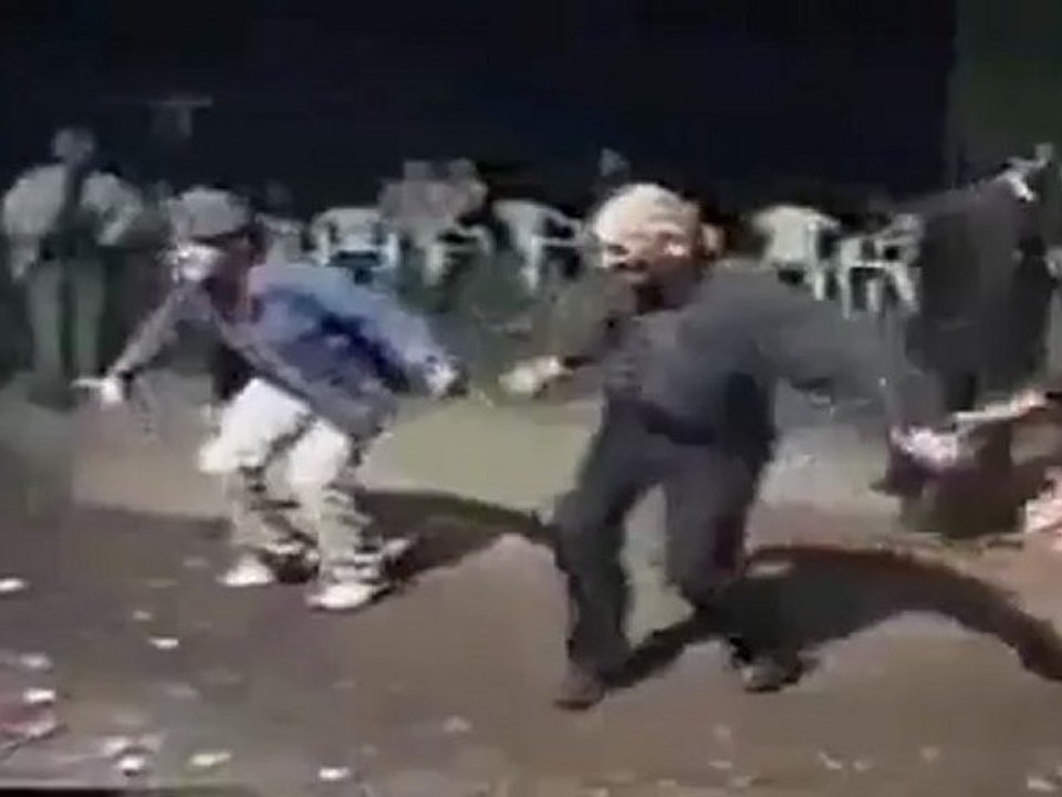 Amcalar Kopuyor