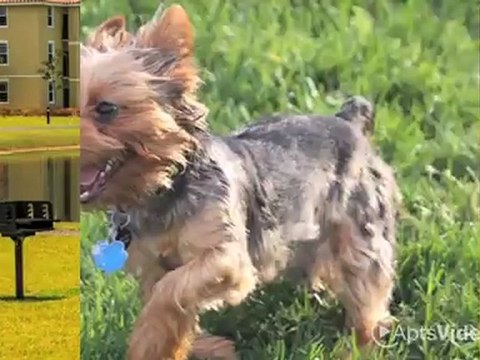 Wellington Club Apartments in Lake Worth, FL - ForRent.com