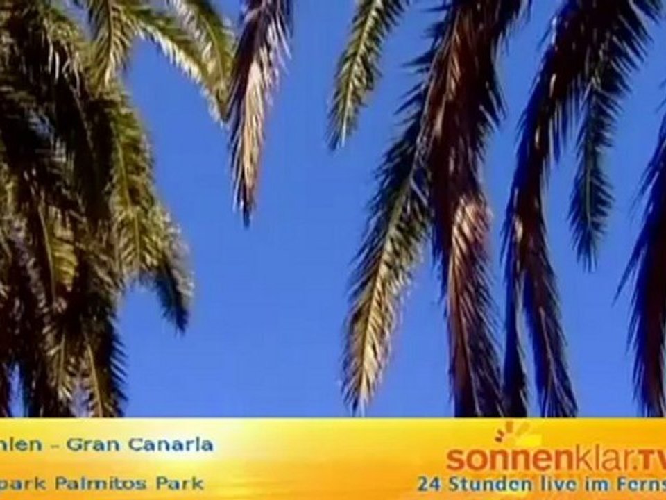 Tipp gran canaria - tierpark palmitos park 1