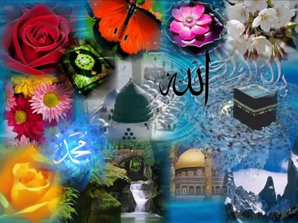 Grup hacegan hasretim var