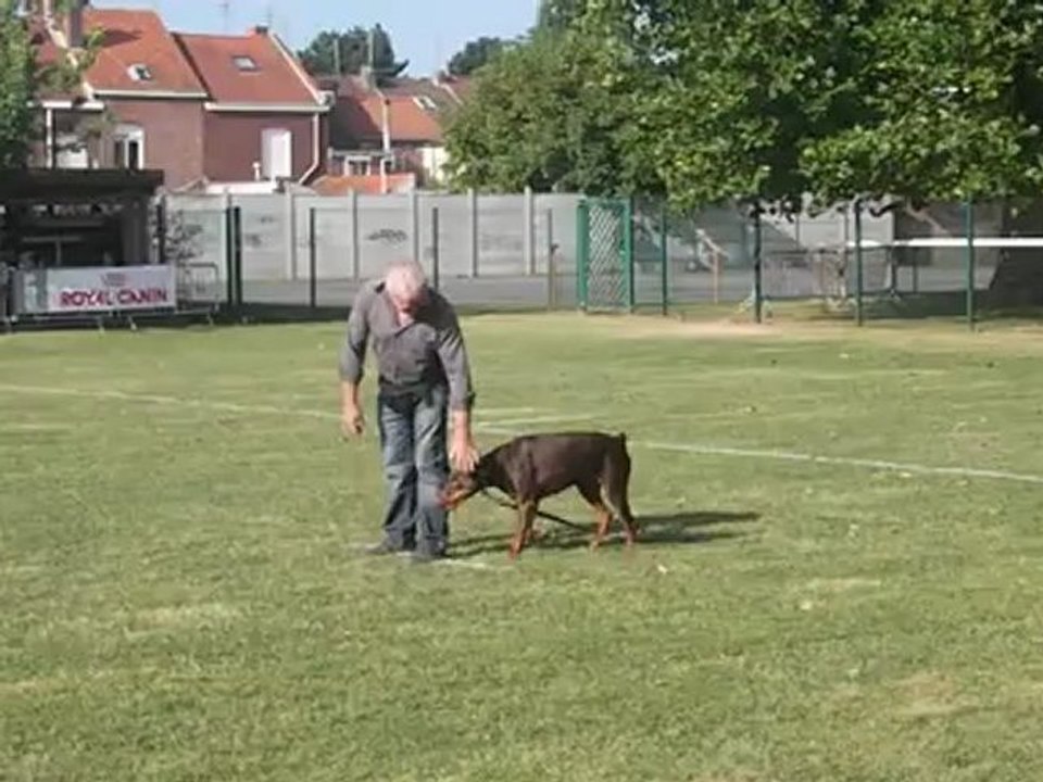 CSAU de Chana~1