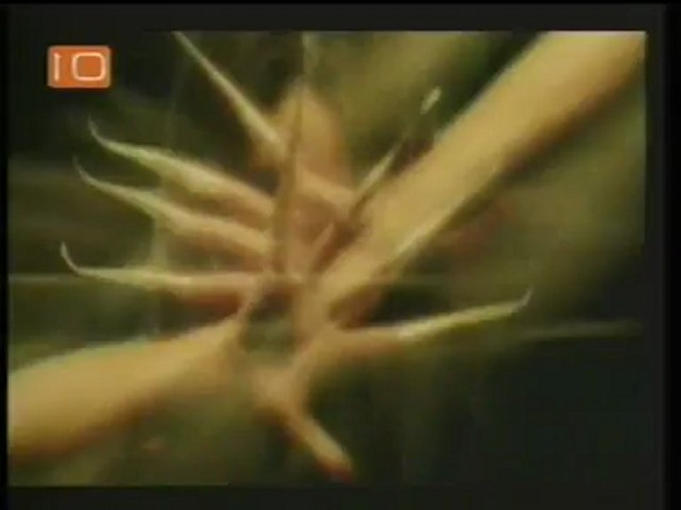 imparator clipp (116)