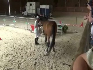 Open de France 2012 - Championnat de France Equifeel