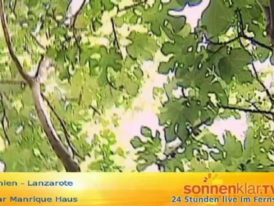 Tipp Lanzarote - Cesar Manrique Haus