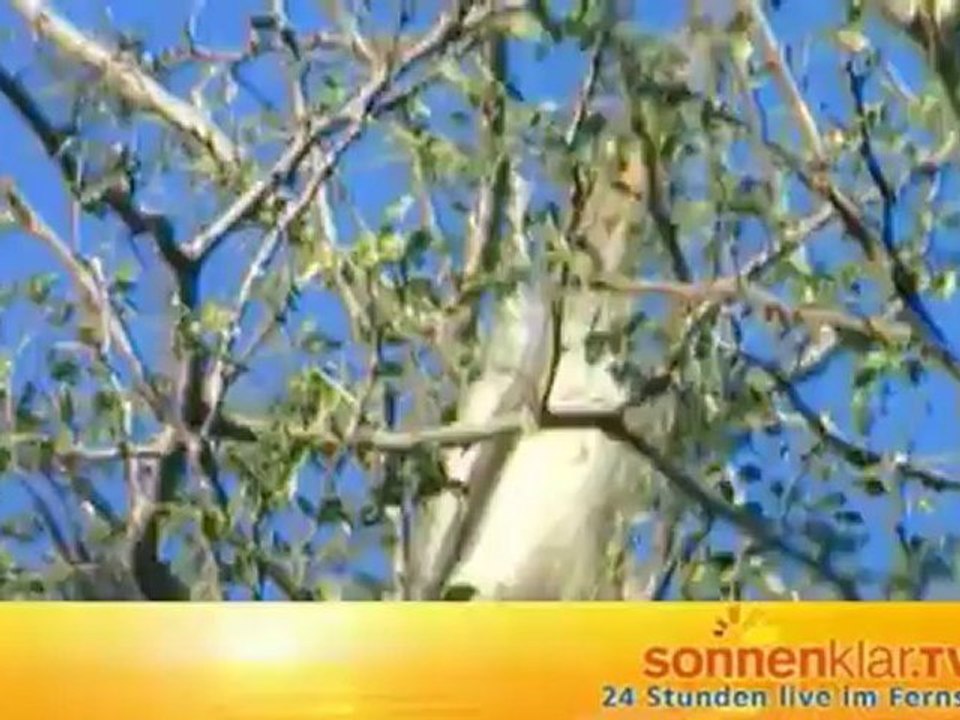 Destinationszuspieler Süd-Afrika (Nationalpark)