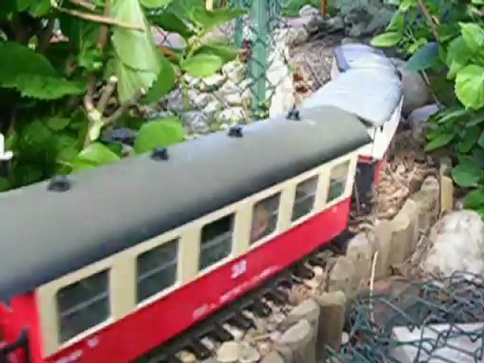 TRAIN DE JARDIN 141 R LGB