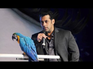 Salman's Radhe (Parrot)  Reveals Bigg Boss 6 Contestants List