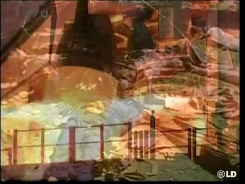 El transbordador espacial Discovery despega con éxito hacia la estacion espacial internacional