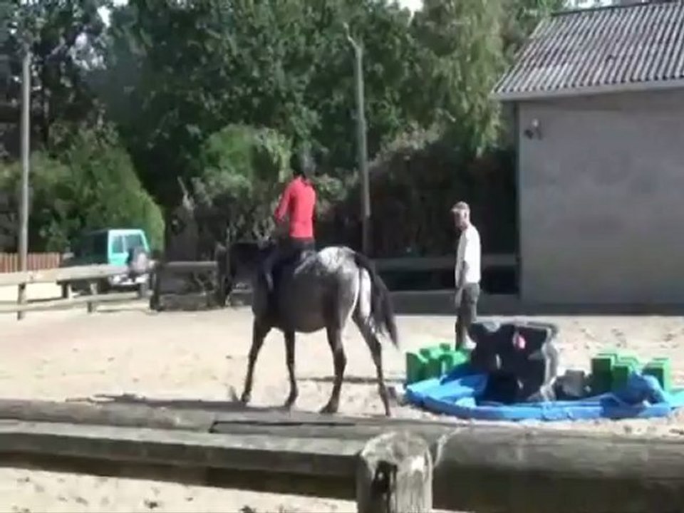 Tod Carotte 16 09 2012