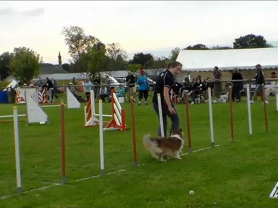 Concours agility Noémie et Daisy