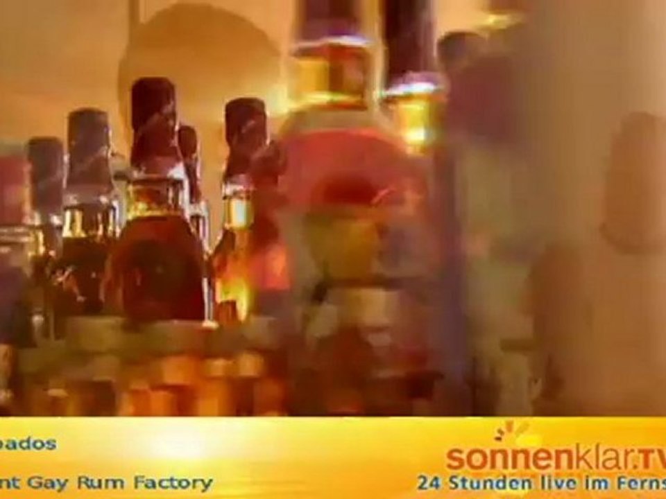 Tipp Barbados - Mount Gay Rum Factory