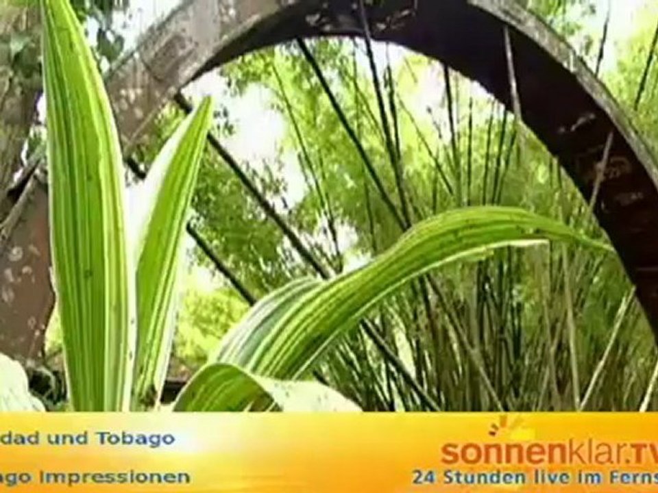 Tobago allgemein 2