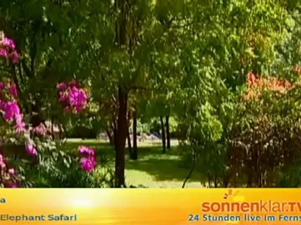 Tipp Kenia - Red Elephant Safari