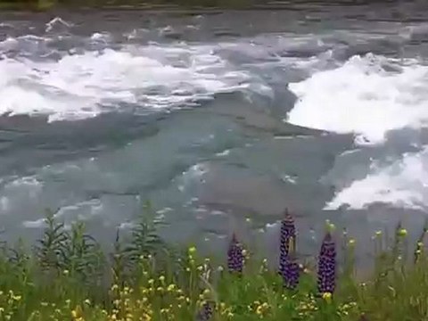 Fluss - Motivation zum Erfolg von Ernst Crameri