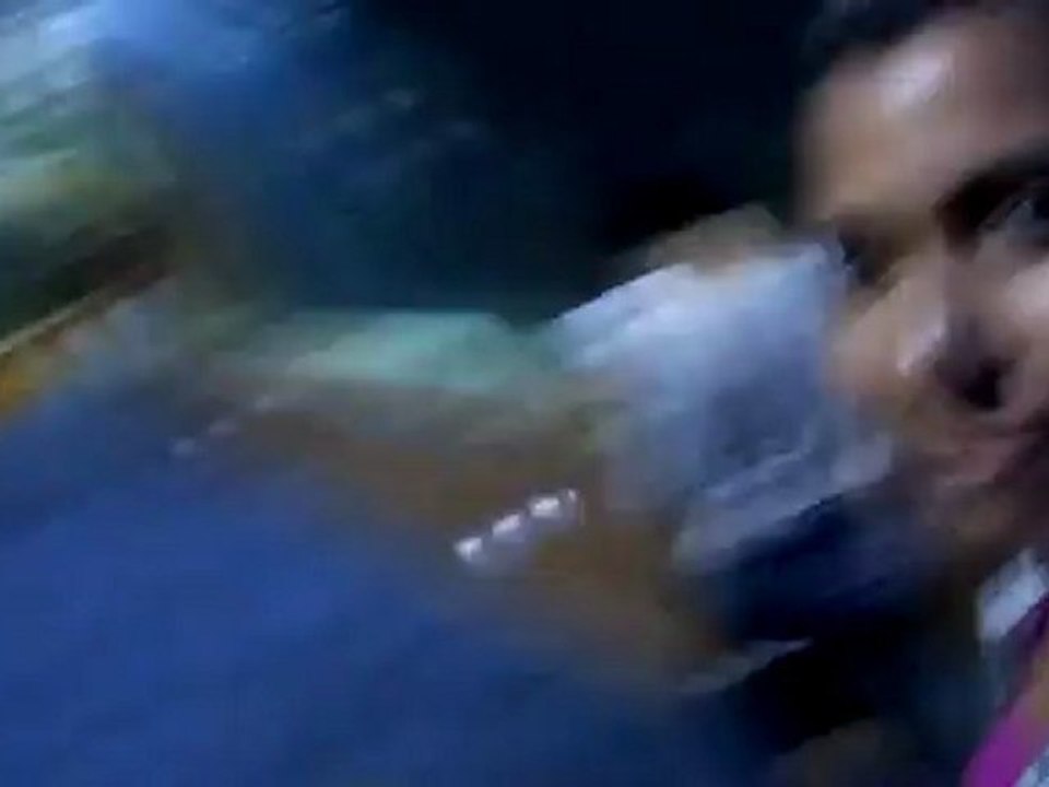 :D oceanografic de valencia