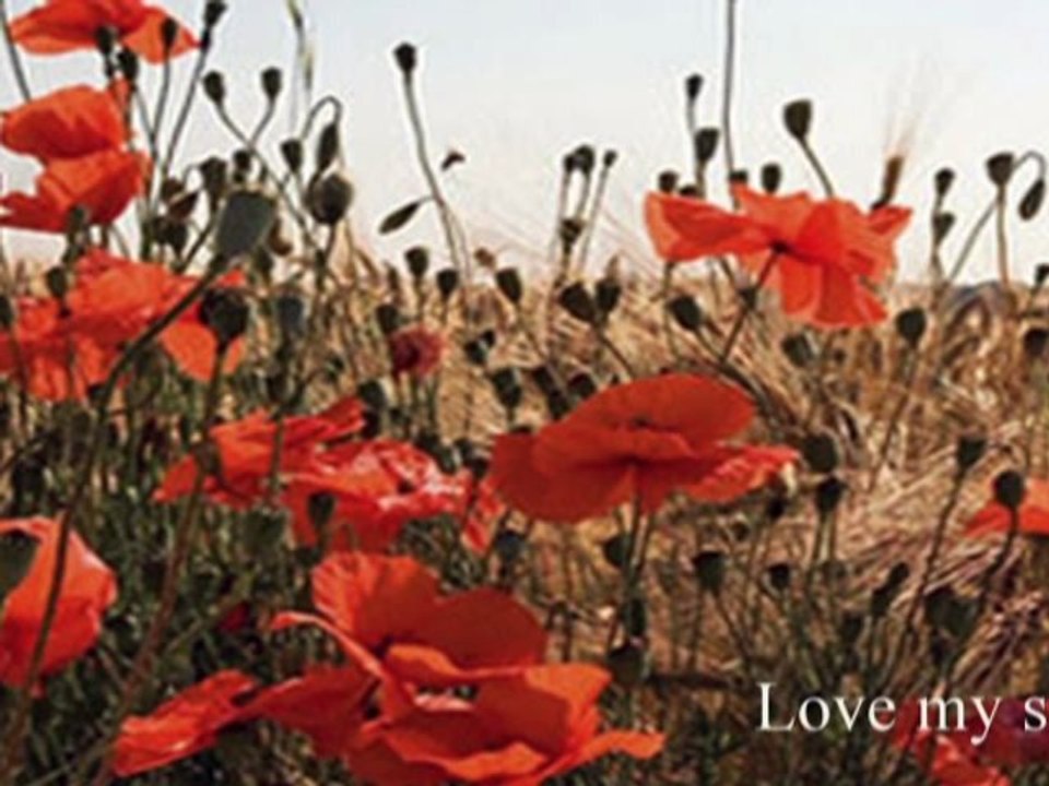 Cafe Del Mar - Love my soul