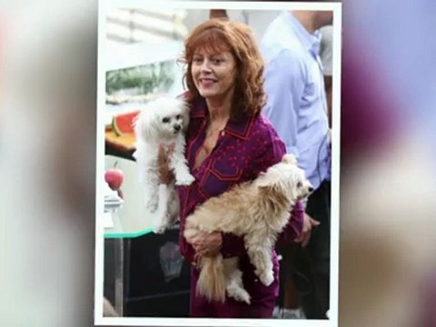 Celebrity Bytes: Celebrity Dog Lovers