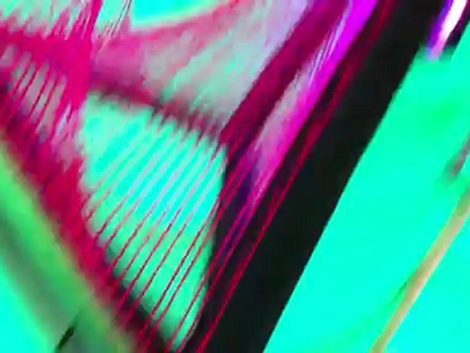 DJ Uforik @ 4 Ever Young Party - Animal B-Day - Jura - Switzerland