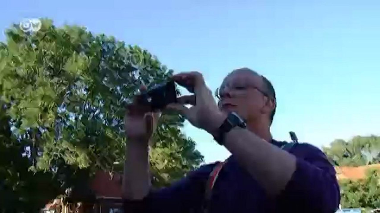 Marismas del Mar del Norte: con una familia de EE.UU. | Destino Alemania