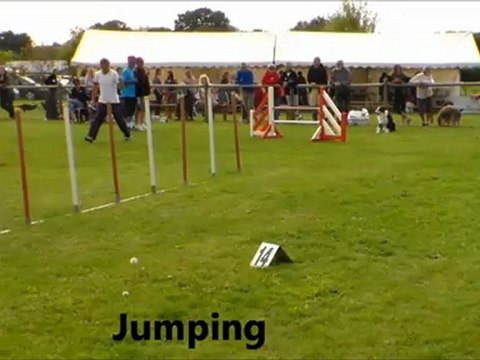 concours agility Claude et Eliot St andré