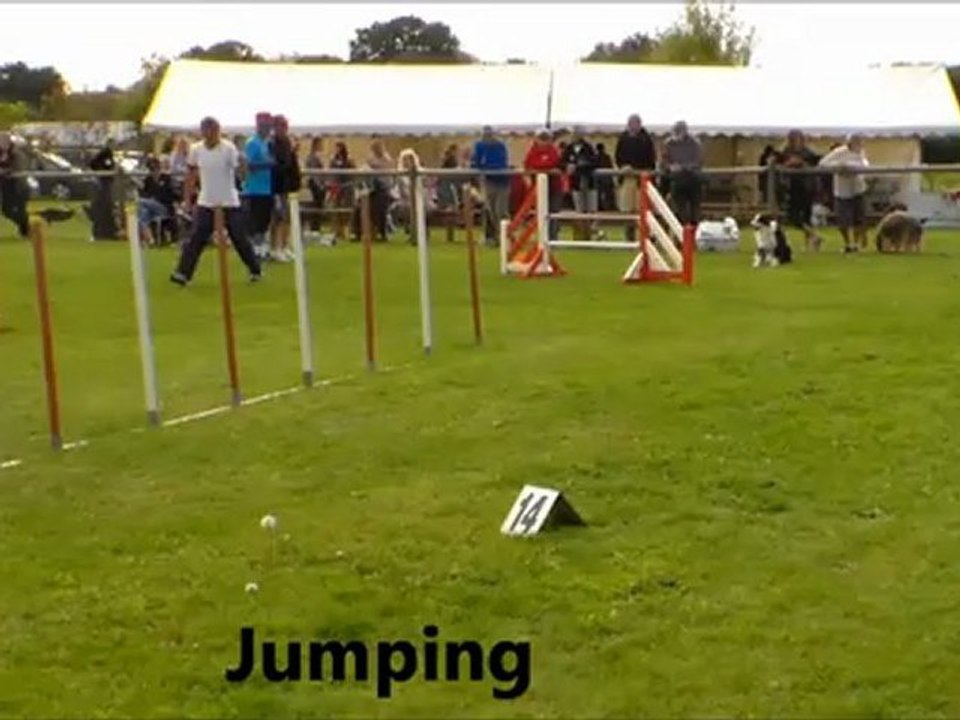 concours agility Claude et Eliot St andré