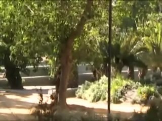 Palacio de San Telmo: un monumento al derroche