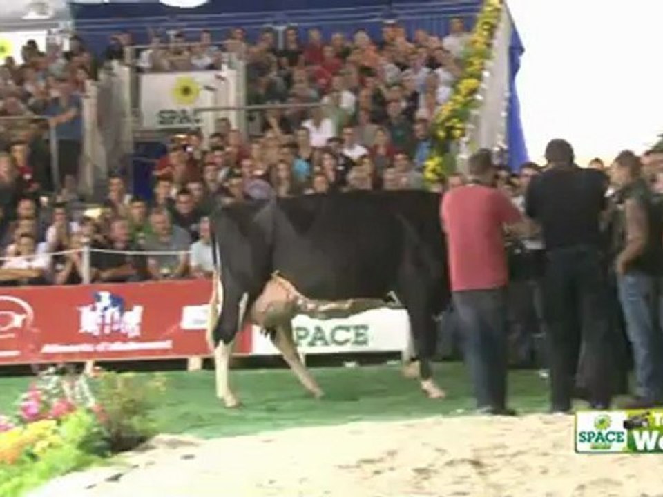 Concours Prim'holstein du Space - "l'un des plus beaux d'Europe"