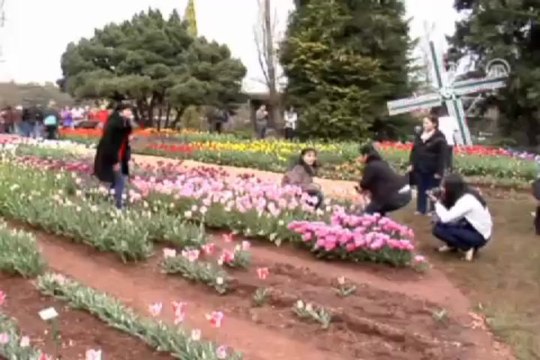 Lale bahçesinde Türk festivali