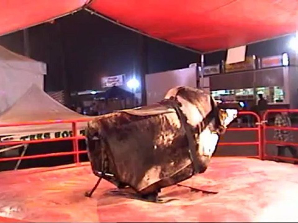 Alquiler de toro mecánico.